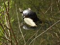 2017-03-30 12-01-27 Rando Meudon